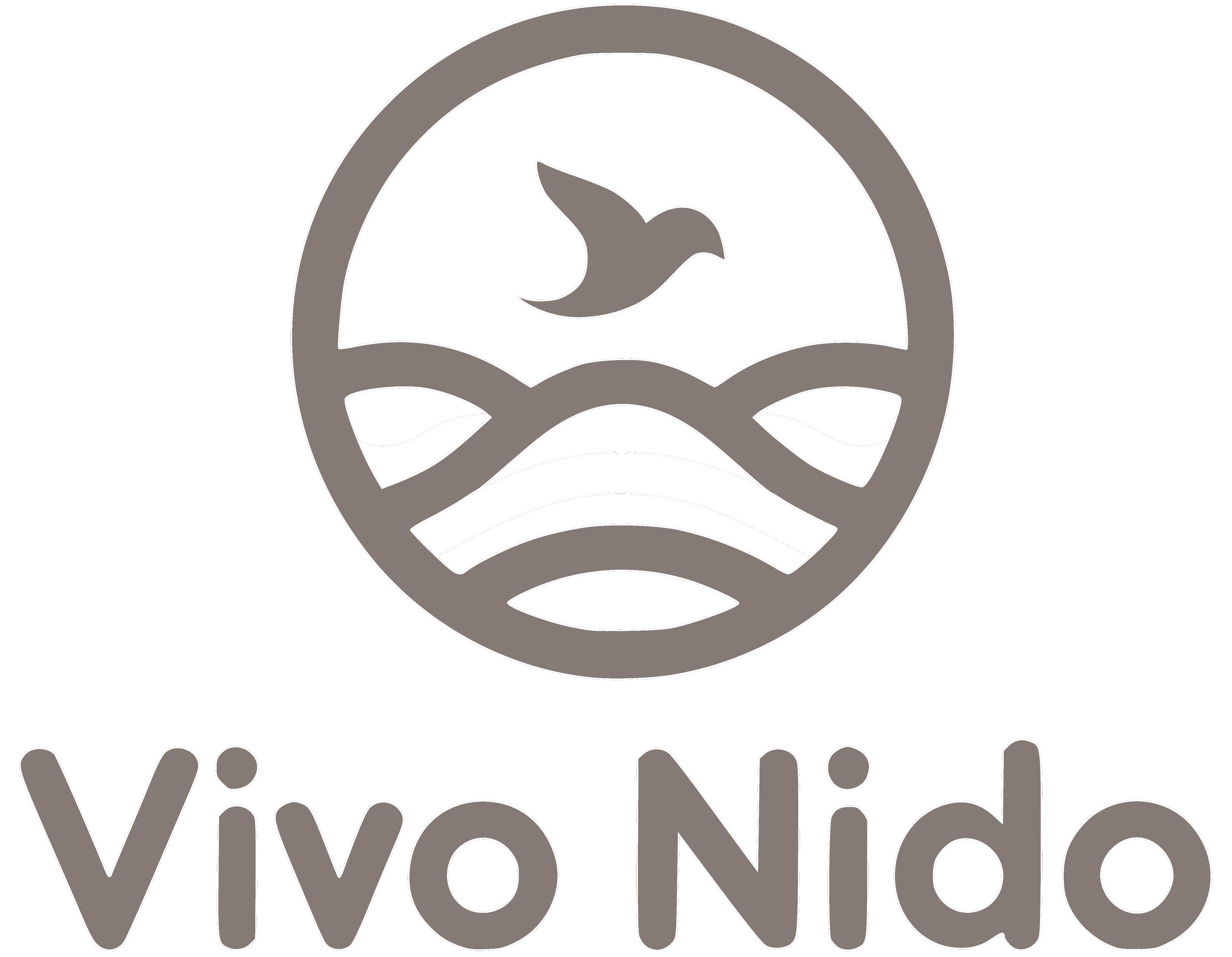 Vivo Nido